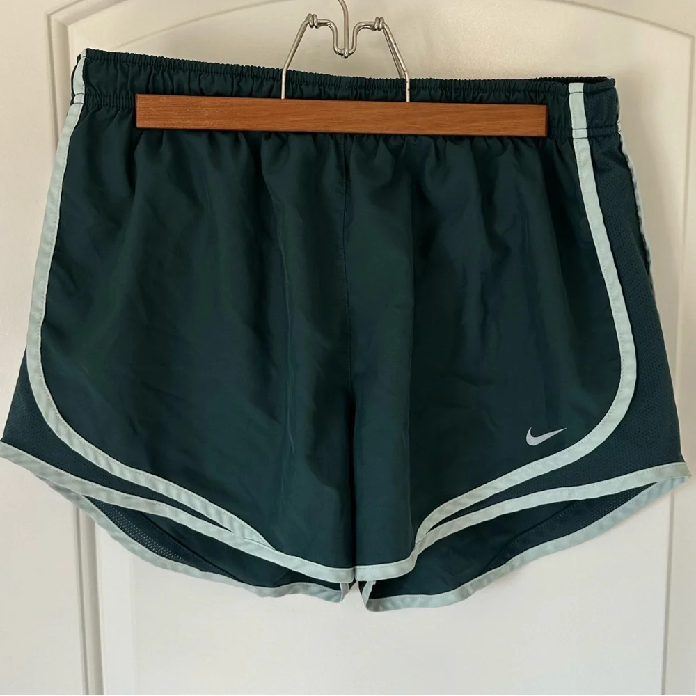 Blue and Green Nike Dri-Fit Shorts Size Large - Picture 1 of 4